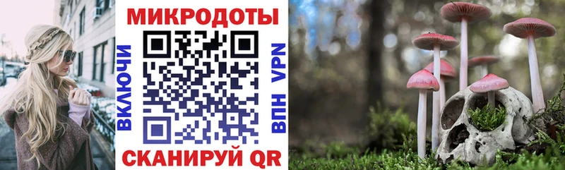 Галлюциногенные грибы мицелий  Крым 